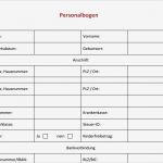 Personalfragebogen Pdf Vorlage Neu Personalfragebogen Vorlage Word – Nyata