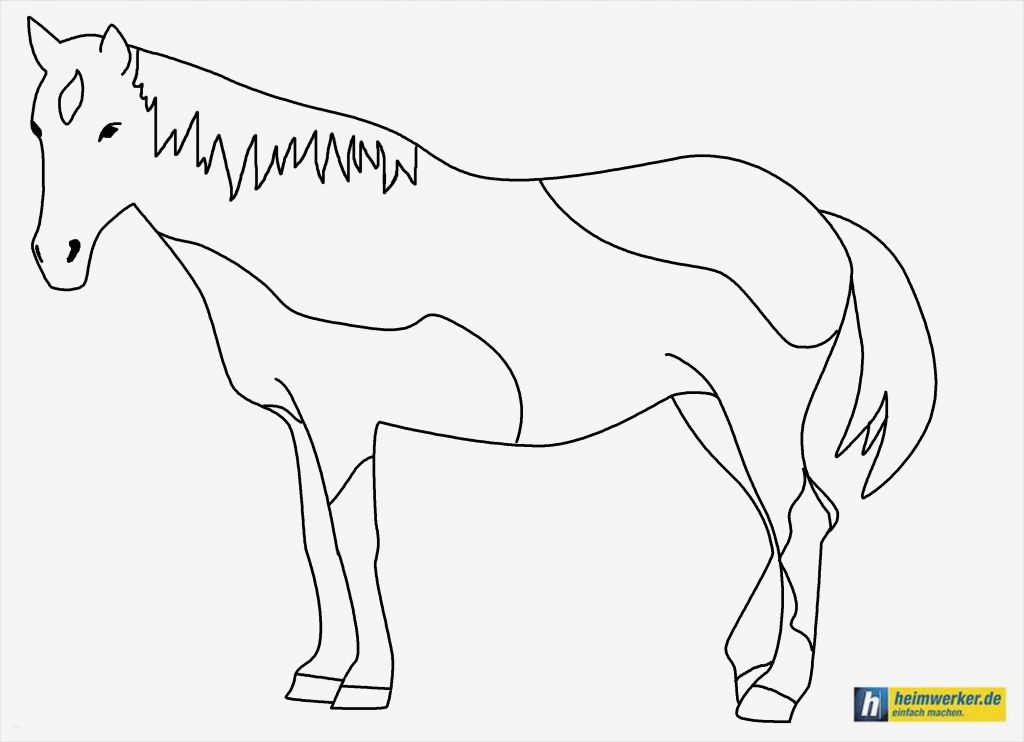Pferdekopf Vorlage Zum Ausschneiden Erstaunlich Pferde – Ausmalbilder