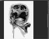 Photoshop Layout Vorlagen Gut Skull Snake Tattoo Vorlage Vom Shop Zum Echten