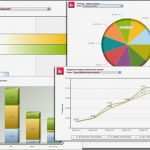 Portfolioanalyse Excel Vorlage Hübsch Project Reporting software