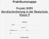 Praktikumsbericht Vorlage Schule 9 Klasse Hauptschule Einzigartig Praktikumsmappe Projekt Bors Berufsorientierung In Der