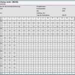 Preiskalkulation Excel Vorlage Luxus Refa Zeitaufnahme Excel Vorlage – Kundenbefragung