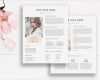 Press Kit Vorlage Genial Media Kit Template 2 Page Blogger Media Kit Blog Media Press