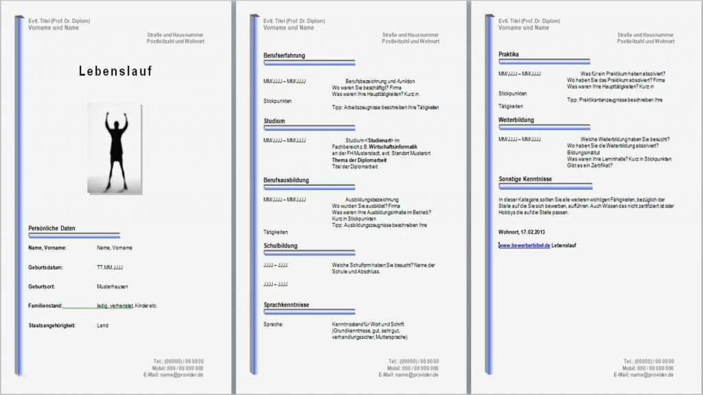 Produktaudit Vorlage Kostenlos Gut Lebenslauf Muster Kostenlos Muster Beispiel Gratis