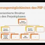 Projektstrukturplan Vorlage Word Download Angenehm Projektmanagement Projektstrukturplan Psp