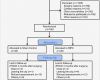 Prozessbeschreibung Vorlage Excel Cool Consort Flow Diagram for Individual Randomized Controlled