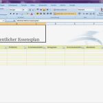 Prozesse Dokumentieren Vorlage Genial Ernährungsplan