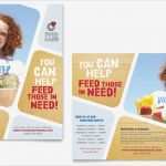 Publisher Flyer Vorlage Cool Food Bank Volunteer Poster Template Word &amp; Publisher