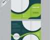 Publisher Flyer Vorlage Luxus Green Brochure Template with Circles Vector