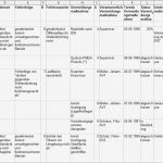 Risikoanalyse Nach Niederspannungsrichtlinie Vorlage Erstaunlich Lösungen