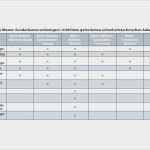 Risikoanalyse Nach Niederspannungsrichtlinie Vorlage Hübsch Groß Risikomanagementplan Beispiel Template Bilder