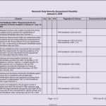 Risk assessment Vorlage Elegant Network assessment Template