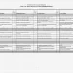 Risk assessment Vorlage Erstaunlich Luxury Project Risk assessment Template Mn91