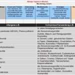 Schmerztagebuch Vorlage Excel Beste Niedlich Symptom Tagebuch Vorlage Galerie Entry Level