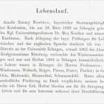 Schriftlicher Lebenslauf Vorlage Schönste 1919 Habilitationslebenslauf Von Emmy Noether Verfasst