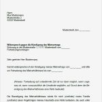 Selbstauskunft Vermieter Vorlage Einzigartig Mieter formular Fr Mieter Mietvertrag formular Mieter