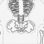 Skelett Hampelmann Vorlage Großartig Ausmalbild Skelett Ausschneiden