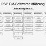 Software Konzept Vorlage Bewundernswert Projektbeispiel „einführung Einer Pm software