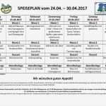 Speiseplan Altenheim Vorlage Cool Speiseplan