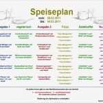 Speiseplan Kindergarten Vorlage Best Of Beste Speiseplan Vorlage Zeitgenössisch