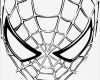 Spiderman Maske Basteln Vorlage Best Of Malvorlagen Ausmalbilder Spiderman