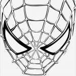 Spiderman Maske Basteln Vorlage Best Of Malvorlagen Ausmalbilder Spiderman