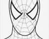 Spiderman Maske Basteln Vorlage Genial Malvorlagen Ausmalbilder Spiderman