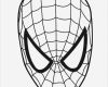 Spiderman Maske Basteln Vorlage Neu Cabeza De Spiderman Hd