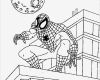 Storyboard Vorlage Zum Ausdrucken Bewundernswert Spiderman Figurer Der Kan Udskrives Og Farvelægges Spiderman