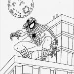 Storyboard Vorlage Zum Ausdrucken Bewundernswert Spiderman Figurer Der Kan Udskrives Og Farvelægges Spiderman