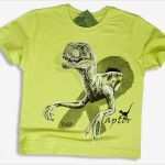 T Shirt Motive Vorlagen Best Of Kinder T Shirt Motiv Dinosaurier Raptor Grün