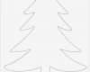 Tannenbaum Vorlage Kostenlos Bewundernswert Pin Vorlage Tannenbaum On Pinterest