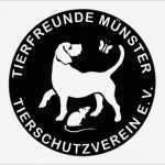 Tätigkeitsbericht Gemeinnütziger Verein Vorlage Best Of Tierfreunde Münster E V Jetzt Boosten