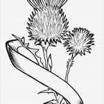 Tattoo Vorlagen Zeitschrift Bewundernswert Scottish Thistle Tattoo Tattoo Ideas