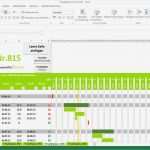 Terminplan Excel Vorlage Gut Projektplan Excel