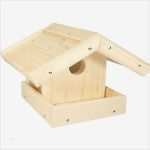 Tiermasken Für Kinder Vorlagen Erstaunlich Holz Bausatz Vogelhaus Nemmer