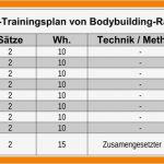 Trainingsplan Fitnessstudio Vorlage Fabelhaft 6 Vorlage Trainingsplan