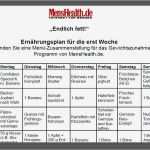 Trainingsplan Fitnessstudio Vorlage Schönste Zunehmen Mit Dem Ernährungsplan [pdf] Für Hardgainer