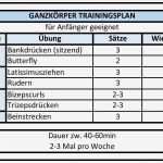 Trainingsplan Muskelaufbau Vorlage Erstaunlich Trainingsplan Fitnessstudio Frau Anfänger Windwisdom