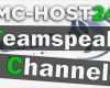 Ts3 Server Channel Vorlagen Neu Teamspeak Server Channel