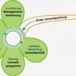 Turtle Diagramm Vorlage Luxus Umweltmanagement iso