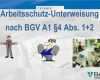 Unterweisung Brandschutz Im Betrieb Vorlage Einzigartig Arbeitsschutz Unterweisung Nach Bgv A1 §4 Abs Ppt Video