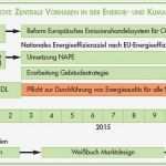 Vertriebsplan Vorlage Excel Erstaunlich Nett Mentoring Aktionsplan Vorlage Ideen Entry Level