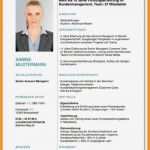 Vorlage Cv English Word Erstaunlich 11 Curriculum Vitae Vorlage Word