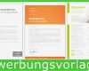 Vorlage Cv English Word Erstaunlich Cv Examples and Cover Letter In Word &amp; Open Fice Download