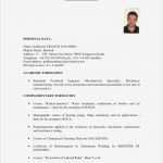 Vorlage Cv English Word Hübsch Examples Pour élaborer Un Curriculum Vitae Et Une Lettre