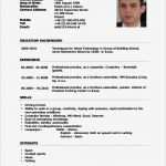 Vorlage Cv English Word Neu English Resume Template