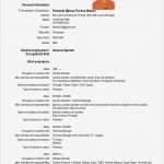 Vorlage Cv English Word Neu Fernando Mateus Cv