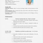 Vorlage Cv English Word Süß andrea Szabo Cv English 2