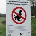 Vorlage Kein Hundeklo Erstaunlich Gegen Das Wildern Hilft Erziehung St Blasien Badische